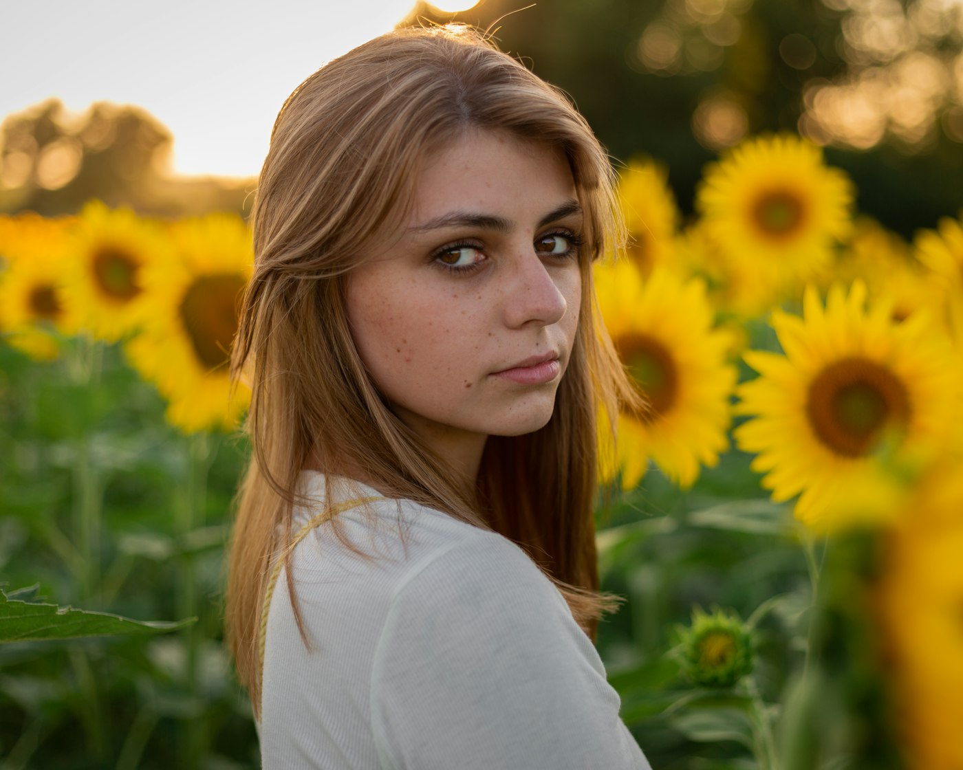 Mujer con vestido blanco en un campo de girasoles